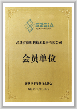 Member of the Shenzhen Electronics Industry Association